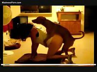 Awesome Ukrainian brunette gets banged by her dog