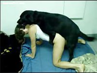 Skinny teen with long legs getting eaten and pounded hard by an animal