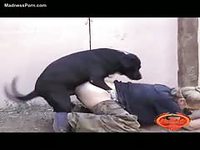 Blonde girl chained up in the yard and violated by the dog in the animal sex video