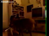 Cute teen girl in tiny shorts having fun with her dog on the living room floor