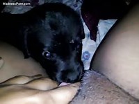 Fat Chinese female is having fun with a cute little puppy