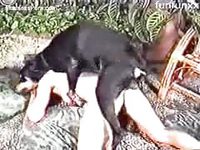 Lovely woman gets a cumshot from her horny pet