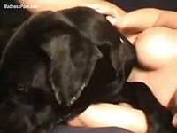 Sensational big breasted amateur teen having beastiality fun