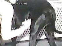 Zoo sex loving blonde amateur MILF showing her cock sucking skills off on a dog
