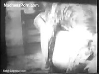 Old school black and white amateur video of a bestiality encounter between dog and woman