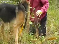 Dirty amateur wife in an animal mask giving a blowjob to a dog