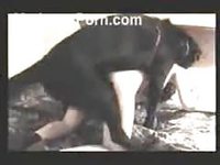 Hot pet owner banged by her dog