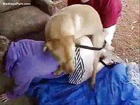 zoophilia fetish lover helps his wife take on a dogs dick in this animal sex flick