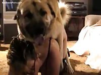 Amateur big breasted cougar in glasses fucked in this animal sex movie