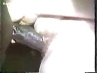 Fuck-hungry grandma likes getting banged by a horse