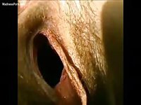 Wax play and pussy fisting BDSM