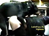 Sex-charged older dude in a leather mask being screwed by a dog