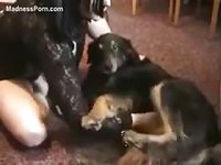 Brunette fresh faced woman in lace moaning while she sucks on a dog dick