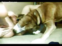 Puppy enjoying the fruits of his middle aged male owners ass in this bestiality video