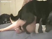 Amateur zoo sex with my pet