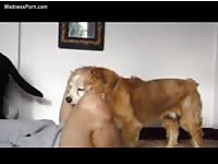 Pretty young girl wants to be fucked by an animal badly