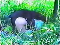 Huge black beast banging a willing brunette college-aged slut in the park