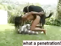 Dark-haired Chinese chick is having intercourse with a dog outdoors