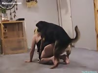 Plump amateur wife getting screwed by her neighbor's dog