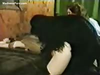 Old school beast fucking video featuring an old tramp screwed by a dog