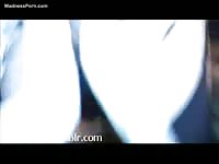 Horny dog finishes a huge load in its mistress' wet pussy