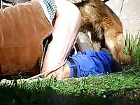 Bored husband drops his pants and gets fucked in the ass by a K9 while wife is away