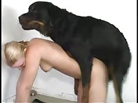 Huge black beast mounting and slamming a skinny long-legged blonde coed