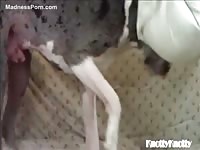 ohknotty - Teenage girl gets fucked by her dog during a live webcam show