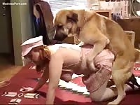 Horny Canadian redhead is having intercourse with a brown dog