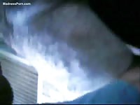 American teacher enjoys getting a cumshot from a horse