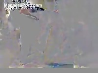 Brown-haired female adores getting assfucked by her dog