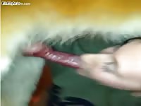 Angry father makes her daughter unbelievably suck her dog's cock
