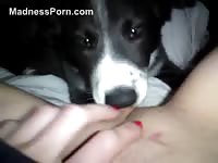 Teenage amateur holding her webcam POV as she's licked by her dog