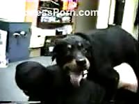 Penis hungry older whore getting nailed doggystyle in this beastiality movie