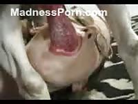 Petite amateur wife in glasses giving a big dog a blowjob