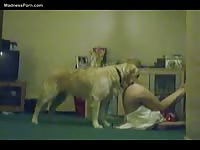 Shy blonde teen breaking her animal sex cherry live on cam