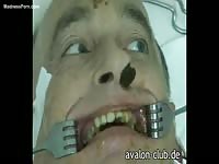 Dominant beautiful woman punches a submissive dude while he's bound