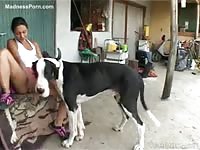 Horny Spanish teen seduces her black dog