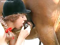 Horse Story DVD - Classy whore in a riding hat and black nylons engaging in beastiality as she sucks a horses dick