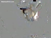 AnimalPass - Incredible bestiality footage of a daring blonde cutie getting fucked by a huge horse one day
