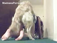 Sneaky teenage girl lifts her schoolgirl skirt for sex with her dog