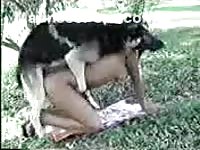 Skinny ebony babe makes her bestiality sex debut getting mounted and fucked by a K9