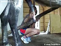 Zoophilia TV - Homemade zoophilia movie featuring a brunette wife getting fucked by a horse