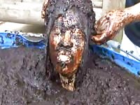 Insane amateur scat fetish adventure depicts a never before seen teen taking a poop bath