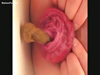 Nasty scat fetish flick features wife open asshole letting out poop