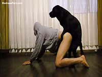 Teenage cutie wearing a hoodie to conceal her identity as she engages in sex with an animal