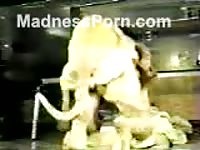 Adorable blonde gets fucked hard in her pussy by her pet