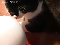Wonderful mummy gets sexually aroused after breastfeeding her kitty