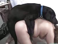 Plump married woman left with cum soaked pussy after beast sex
