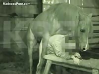 Horny married dude welcomes an anal ramming from an animal